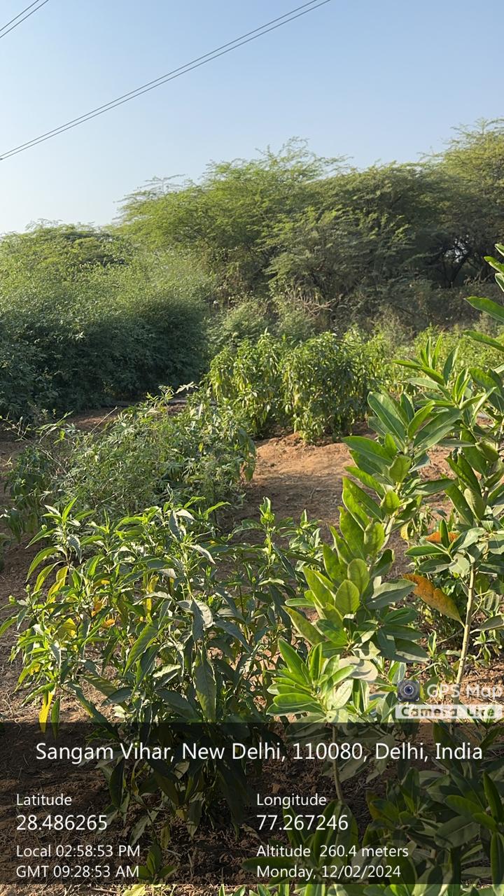 Compensatory Afforestation